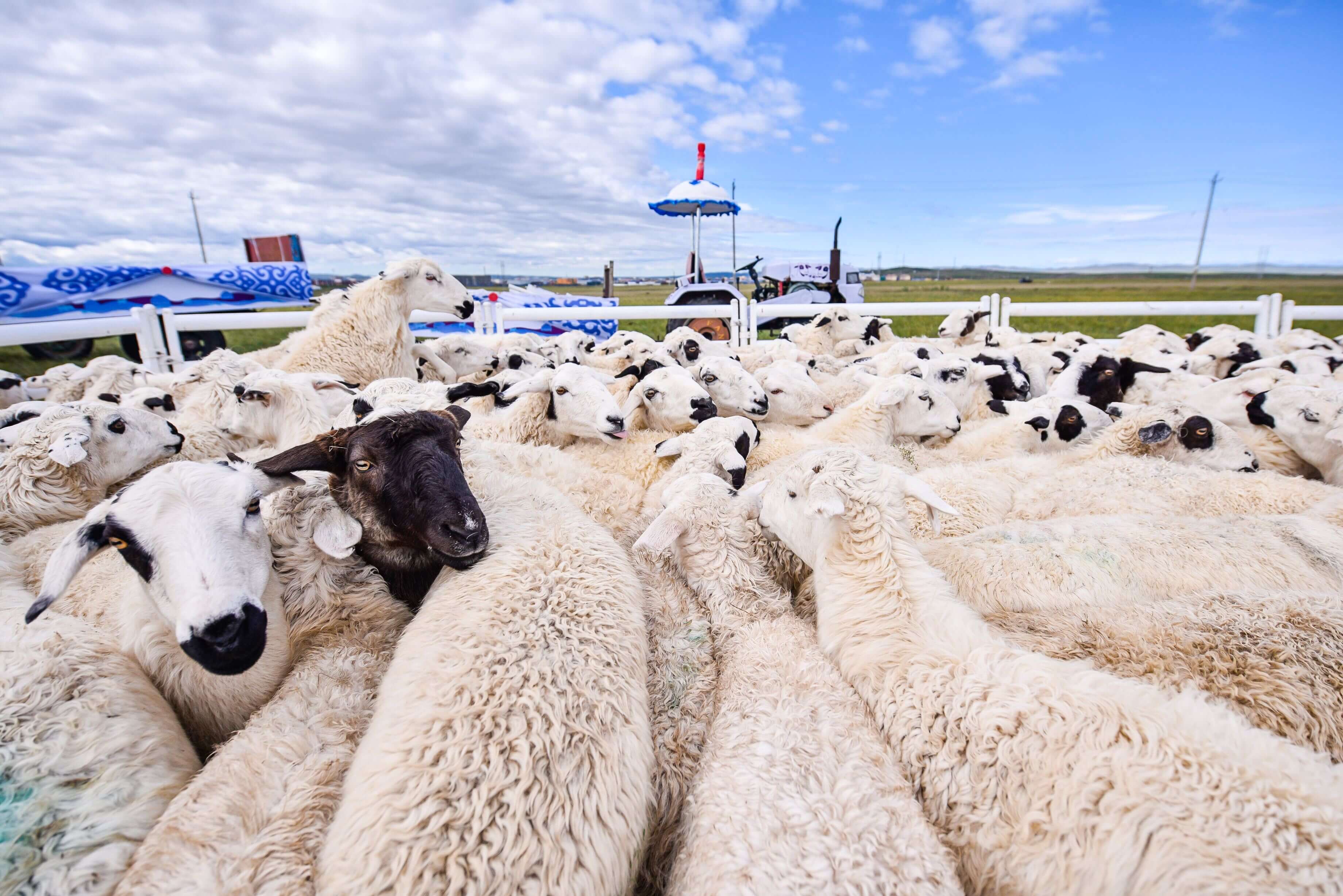 贵金属挂单和实时是什么意思